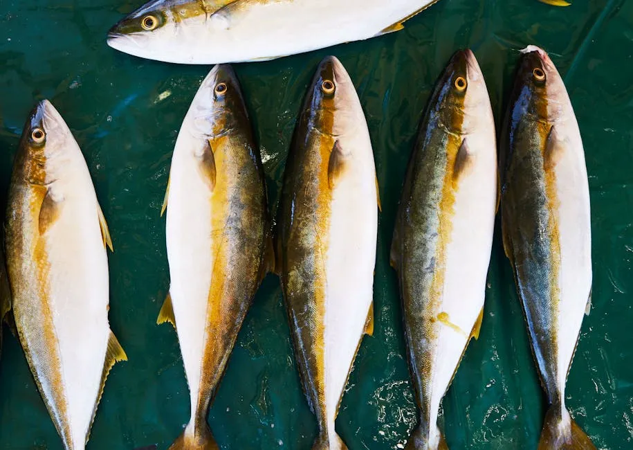 Laufey Reimagines Jazz: From Primal Fish to Chart-Topping Success