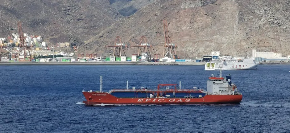 Evacuation Begins for Hantavirus-Hit Cruise Ship off Tenerife