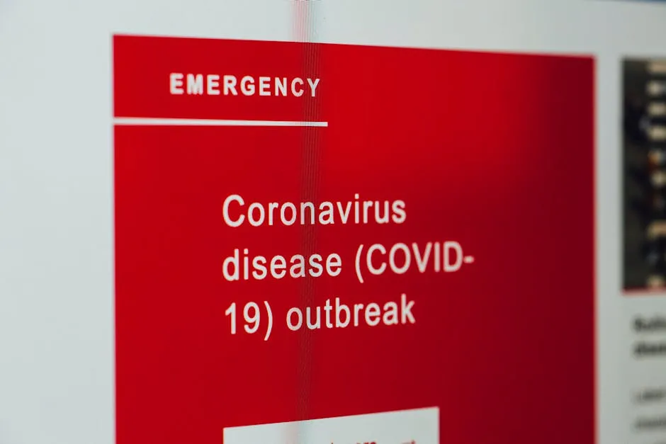Hantavirus Outbreak: Repatriation and Low Public Risk Amid Evacuations