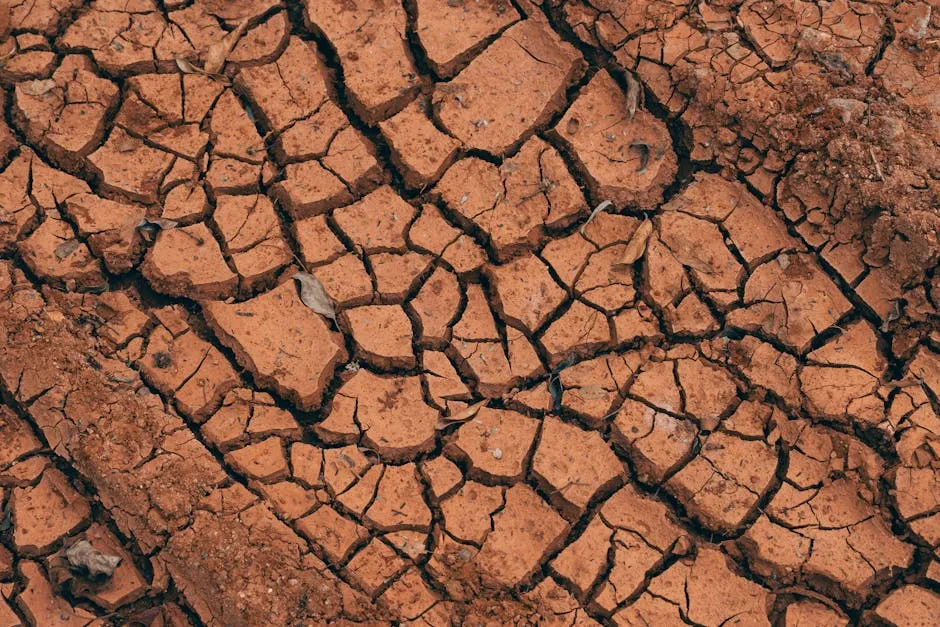Brace for Impact: Upcoming El Ni&ntilde;o Expected to Unleash Decades-Strong Effects