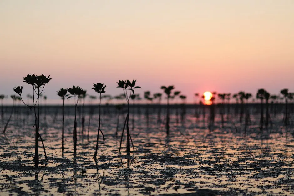 Mangrove Forests Stage Remarkable Recovery Amidst Climate Challenges
