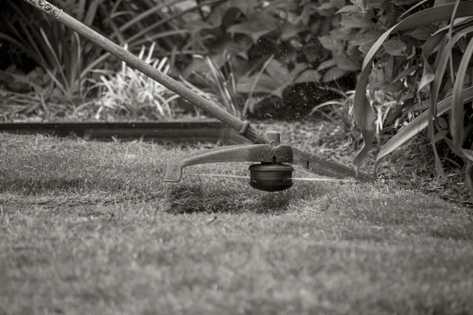 From Weeds to Wonders: How One Enthusiast Developed an App to Revive a Dying Yard